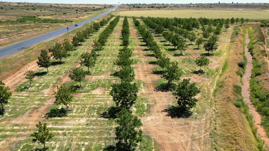 0 Bedroom Property for Sale in Hopetown Northern Cape